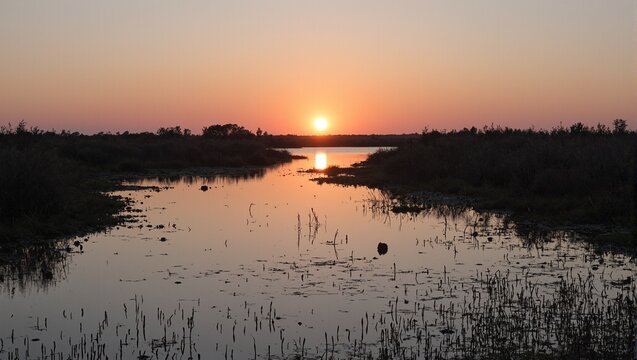 Tranquil wetland at sunrise reflecting mirror like water with silhouetted reeds and birds Ideal for a peaceful backdrop