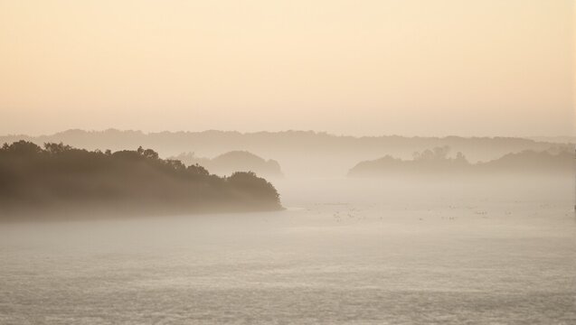 Tranquil inlet at sunrise with misty waters and distant silhouettes of wading birds Serene nature scene for relaxation