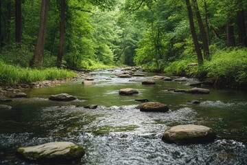 Obraz premium Serene Forest Stream, Lush Nature Landscape
