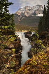 The 24m drop Athabasca Falls on the Athabasca River carves a short gorge and some potholes, Mount Kerkeslin in background. Jasper NP-Alberta-Canada-267