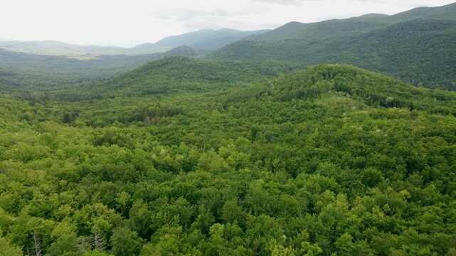 Aerial view of a winding road cutting through the lush green forests of Nature Park Učka in Croatia.