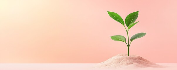 Breakthrough possibility ideas concept, A young green plant emerges from soft soil, symbolizing growth and renewal. The pastel background evokes serenity and harmony in nature.