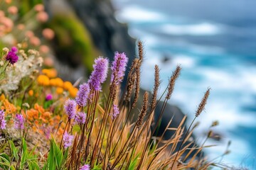 Coastal Wildflowers in Vibrant Hues