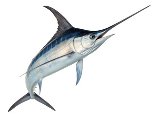 A marlin fish on black back isolated on transparent background