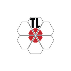 948 diamond shape alphabet letter pentagon geometric educational learning flower logo T L