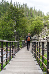 A female hiker walks along a wooden boardwalk in Fulufjället National Park, surrounded by lush greenery and a flowing river. The tranquil setting invites exploration in Dalarna Sweden
