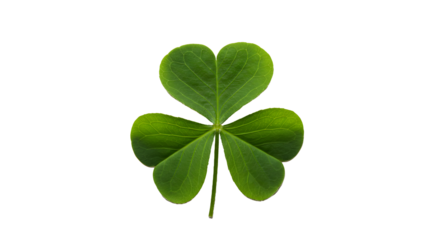 Three leaf clover st patricks day irish shamrock lucky charm good fortune symbol green plant isolated on black on transparent background
