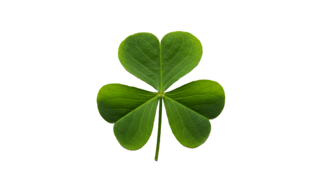 Three leaf clover st patricks day irish shamrock lucky charm good fortune symbol green plant isolated on black on transparent background
