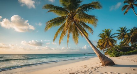 Fototapeta premium Beautiful tilted coconut palm on the exotic beach with empty space for text.