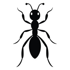 Ant Vector Silhouette on White Background