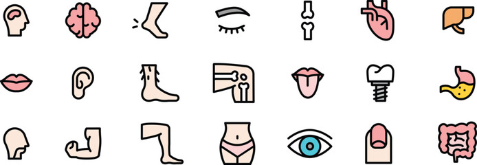 Human Anatomy Body Parts and Organs Icons