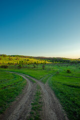 Obraz premium Beautiful landscape photography in the field sunny summer day in the forest , landscape and nature in the Ukraine .Road in the woodladns , summer lands 