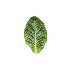 Single green cabbage leaf isolated on transparent background