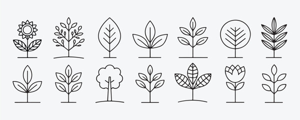 Plant Set of Line Vector Style on White Background