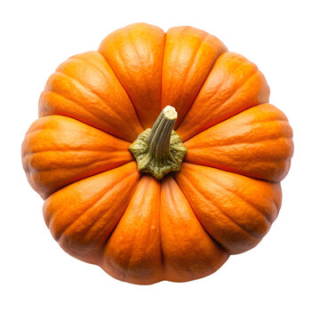 pumpkin top view isolated on white background. PNG Transparent file type with high definition quality And vibrant color grading Available.