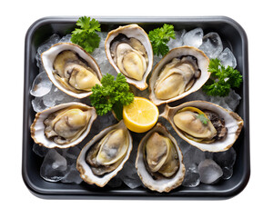fresh oysters with lemon isolated on white background. PNG Transparent file type with high definition quality And vibrant color grading Available.