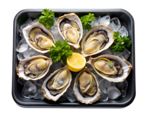 fresh oysters with lemon isolated on white background. PNG Transparent file type with high definition quality And vibrant color grading Available.