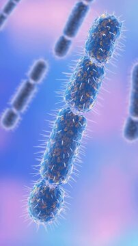 Magnification of rod-shaped streptobacilli, floating, making rotational movements on pink-blue gradient background