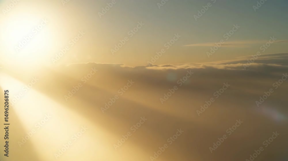 Poster golden light shining through mist over a coniferous forest. scenic landscape of trees enveloped in f
