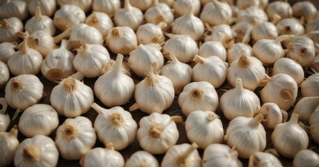 Neatly arranged garlic bulbs, showcasing fresh, intense flavor ,  texture,  wholesome