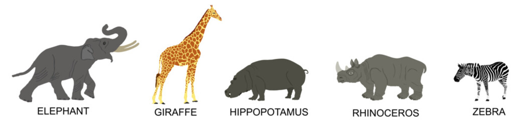 Group of African animals collection vector illustration isolated on white background. Big animals set poster. Elephant, giraffe, hippo, rhino, zebra. Africa herbivore on watering place in savanna.