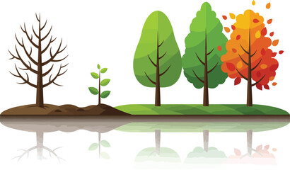 Fototapeta premium Tree growth stages illustrating seasonal changes with autumn leaves and green foliage in vector format 