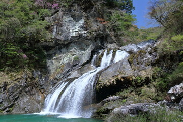 瀬戸川渓谷のアメガエリの滝　清々しい初夏　（高知県　土佐町）