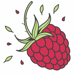 Simple Raspberry Illustration and wild berries mix, raspberry, blueberries, blackberries isolated on white background, clipping path, full depth of field