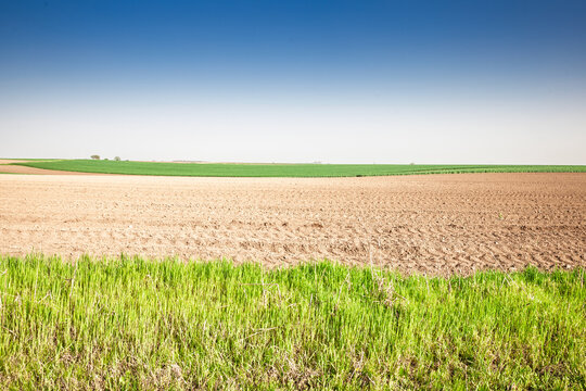 panorama of freshly ploughed brown earth bordered by bright green winter-wheat strips by a blue sky, depicting spring field preparation across the fertile Pannonian plain in Serbia, vojvodina.