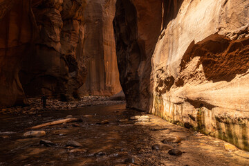 The Narrows Hike in Zion National Park, Utah, National Park Hikes in the US, Iconic Hikes, Canyon Walls, River Hikes