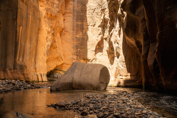 The Narrows Hike in Zion National Park, Utah, National Park Hikes in the US, Iconic Hikes, Canyon Walls, River Hikes