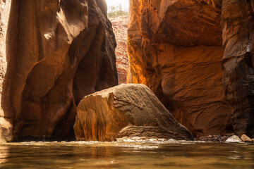 The Narrows Hike in Zion National Park, Utah, National Park Hikes in the US, Iconic Hikes, Canyon Walls, River Hikes