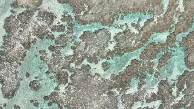 Japaratinga, Maragogi, Patacho, S&atilde;o Miguel dos Milagres, Alagoas