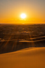 Conjunto de paisajes y flora del desierto de Sonora, México.