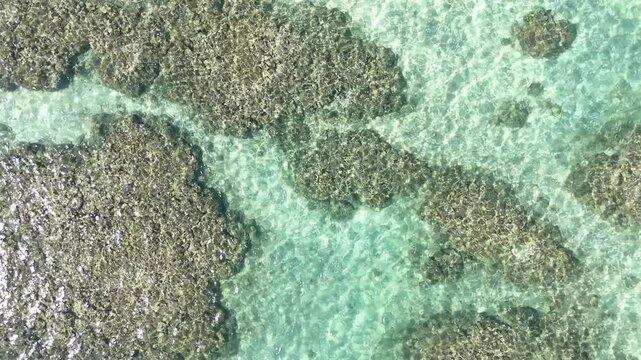 Japaratinga, Maragogi, Patacho, S&atilde;o Miguel dos Milagres, Alagoas