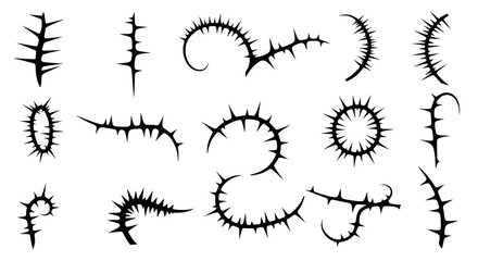 Thorny Vines Collection: A versatile collection of  black thorny vine illustrations, perfect for design projects needing a touch of nature’s edgy beauty. Each design offers a unique shape and style. 