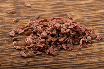 ［野菜の種］人参　品種：子安三寸