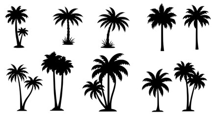 Palm Tree Silhouette Collection: A collection of elegantly designed palm tree silhouettes, ideal for design projects. evoking a sense of tropical serenity. 