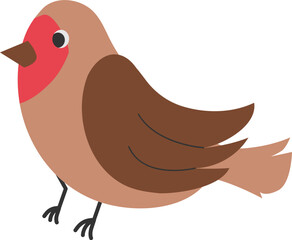 Colorful Bird Illustration