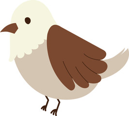 Colorful Bird Illustration