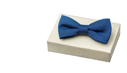 A navy blue bow tie nestled in a light beige gift box