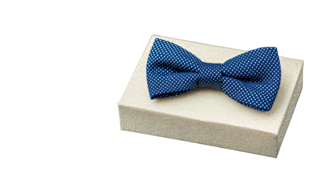 A navy blue bow tie nestled in a light beige gift box