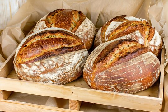 Natural morning light illuminates freshly baked sourdough bread on a rustic wooden board.