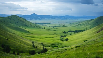 Obraz premium Lush green valley nestled between rolling hills under a cloudy sky.