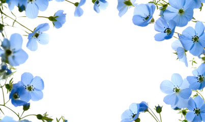  Beautiful blue flowers frame the border with a transparent background, in PNG format.