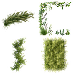 Fototapeta premium Collection of assorted plants and greenery arrangements on black background