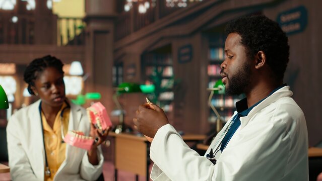 Dentistry students team doing research with plastic human jaw model in a library, preparing for exams on oral hygiene and stomatology. Learning tools for a successful dental career. Camera B.