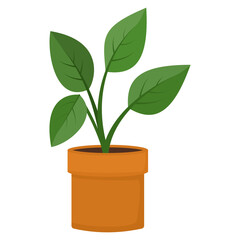 illustration of green plant in a pot 