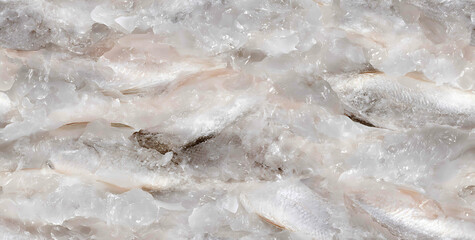 Textured  - Seamless , pattern , background , tile