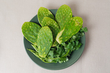 Fresh nopal cactus and cilantro on green plate, ready for mexican cuisine